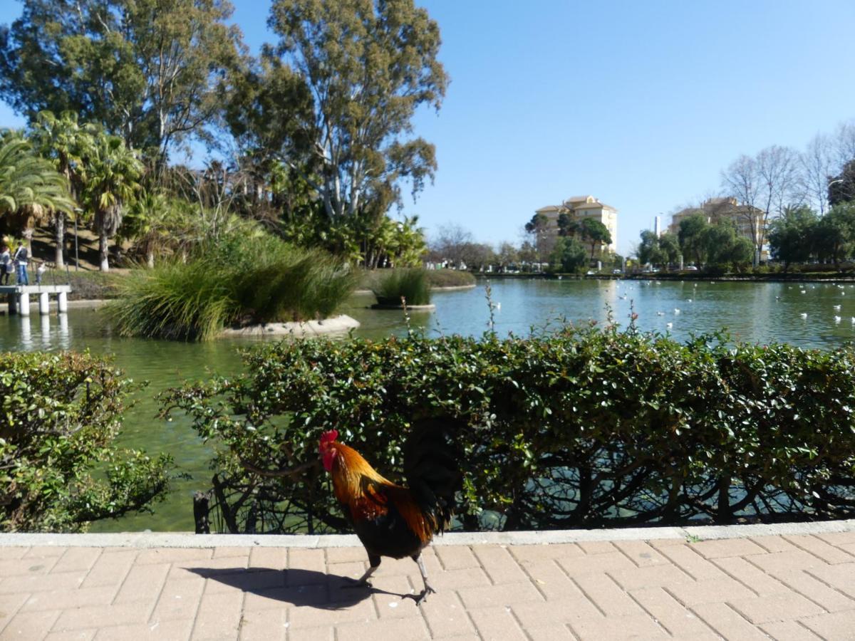 La Carihuela Torremolinos - Studio 3 - Costa Sol Holiday Rentals Ngoại thất bức ảnh